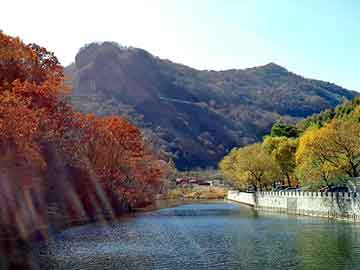 澳门二四六天天彩图库，养牛前景